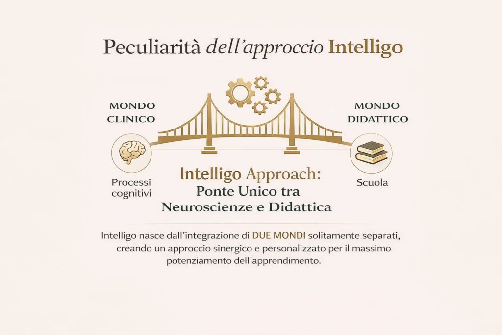 Approccio Intelligo – Ponte tra neuroscienze e didattica